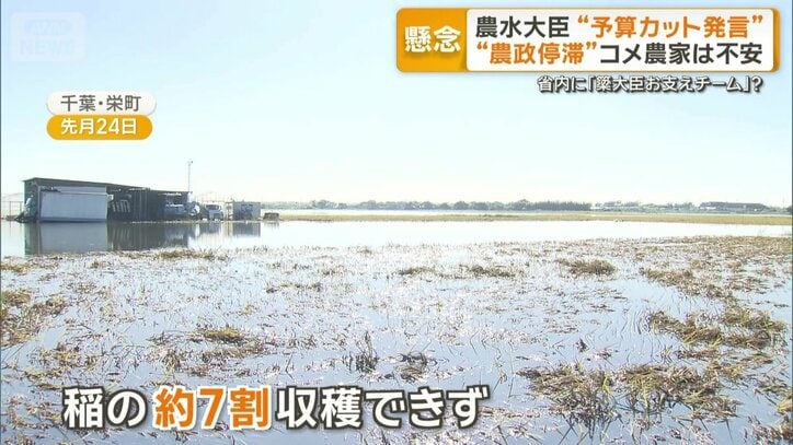 7割近くの稲が収穫できず