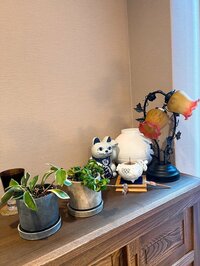 堀ちえみ『私にとって常に「今が修行の時」と思ってきた』