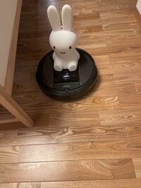 高橋真麻『天才なの？！』