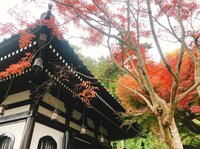 桃『デートスポット!!!』