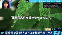 AbemaPrime - 企画 - グリーンラッシュで広がる“大麻合法化” 日本での解禁はアリ?ナシ?(18/03/07) | 動画視聴は【Abemaビデオ(AbemaTV)】