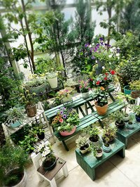 小川菜摘『組み立てたった❗️』