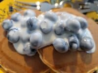 高橋英樹『奥さんがかくしていた！』