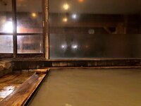 広田レオナ『私はゴジラよ』