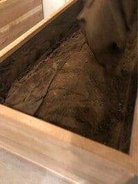 市川海老蔵『酵素』