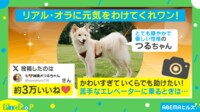 【映像】勇気を分けてあげたい!苦手なエレベーターに乗った怖がる犬の姿