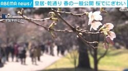 皇居・乾通り 春の一般公開 桜でにぎわい