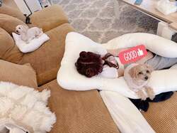  辻希美、眠っている長女・希空の姿を公開「可愛い空間でした」 