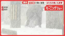 今季最強寒波が襲来　冬の嵐、観光客直撃　慣れない雪道でスタック続出　車が立ち往生