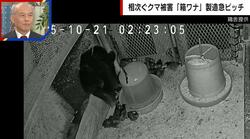 クマが鶏舎に侵入…約150羽が襲われる事態に 「僕らでは鉄砲も使えないし専門機関が対処すべき」被害男性が嘆き