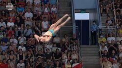 “飛込王国”の猛追を振り切った2.5秒！世界水泳・3m飛込、頂点に立つために選択したハイリスク演技が「素晴らしい！」
