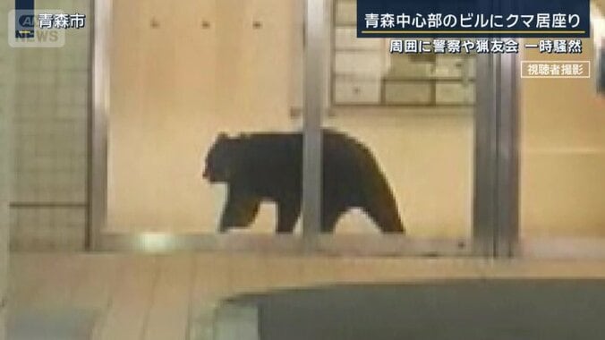 商業ビルに侵入したクマ
