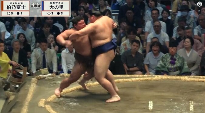 「横綱が手をついてるのに…」「合わせてよ」伯乃富士、立ち合いの“間”に困惑の声 大の里は“完全復調”の兆し 好調・伯乃富士を圧倒「これが大の里だ!」ファン興奮 4枚目