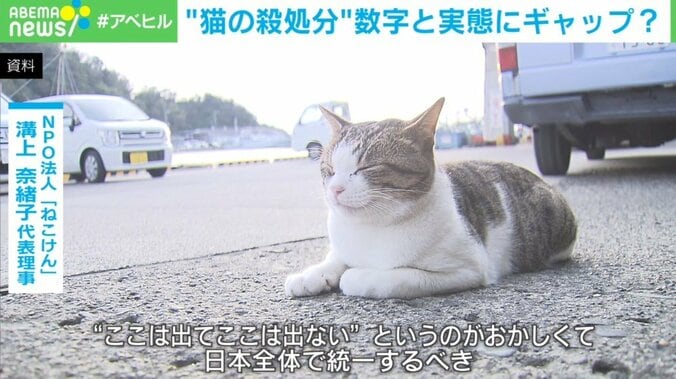 犬猫の“殺処分”は本当に減っているのか？ 不透明な実態に「救いたい気持ちは同じ」 4枚目