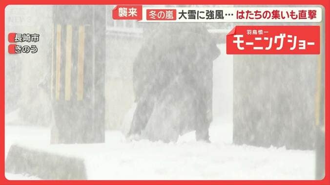 今季最強寒波が襲来　冬の嵐、観光客直撃　慣れない雪道でスタック続出　車が立ち往生 1枚目