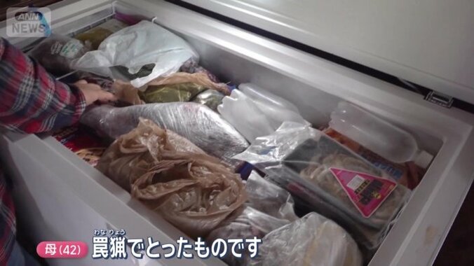 罠猟で捕獲したシカやイノシシ