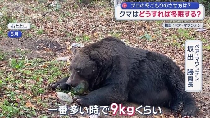 「獣舎の中で9キロぐらい」