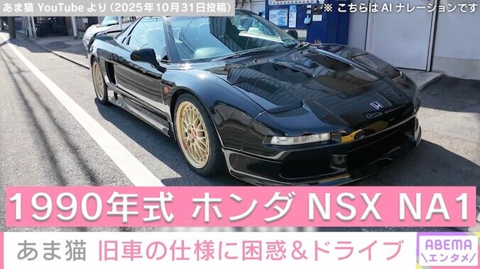 “複数の高級車所有” あま猫、1990年式ホンダNSX NA1の仕様に困惑&首都高ドライブ「物理キーはめっちゃ懐かしい」「おじさん世代にはたまらない」と反響 4枚目