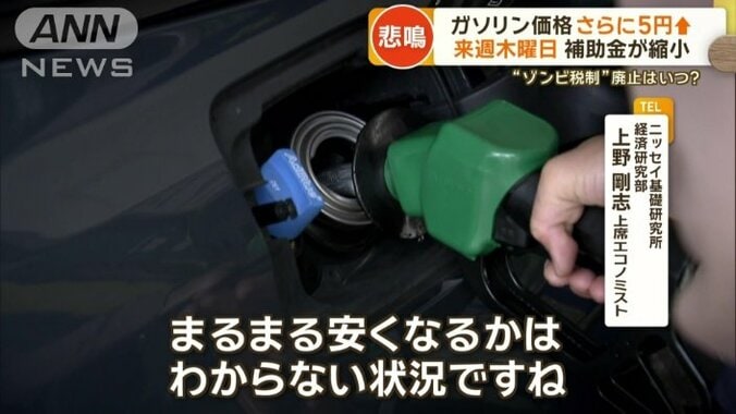 「まるまる安くなるかは分からない状況」