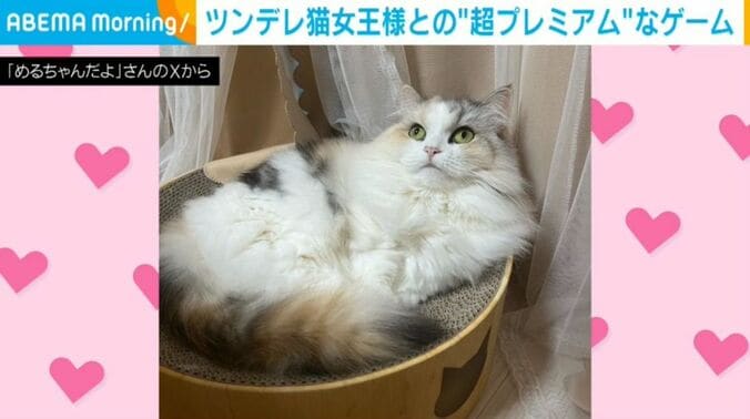 めるちゃん