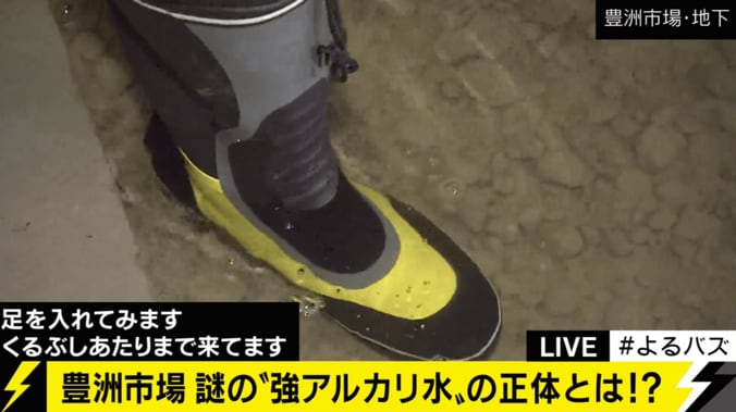 豊洲市場の「謎の地下水」からヒ素が検出　さらには「カビのような臭い」も 4枚目