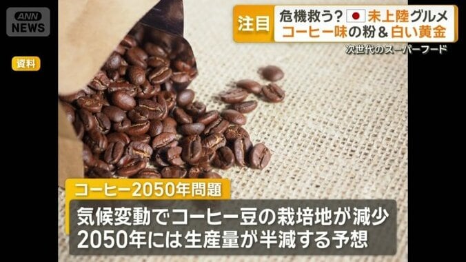 コーヒー2050年問題