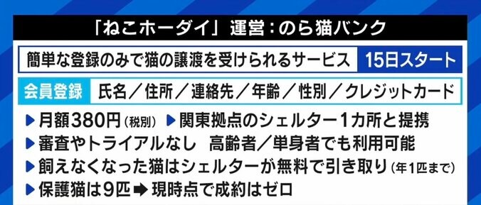 “月額380円で審査なし” 賛否の声があがる「ねこホーダイ」にNPO代表「所有権が不明確。死んでしまったら誰が責任を取るのか」 2枚目