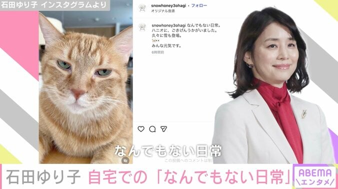 【写真・画像】生活感あふれる自宅が話題・石田ゆり子（56）、リビングでくつろぐ“なんでもない日常”を公開「癒やしですねぇ…」　2枚目