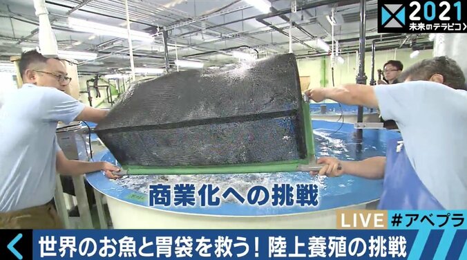 サーモンの“陸上養殖”は可能なのか？美味しい魚がずっと食べられる環境を目指すベンチャー企業 6枚目