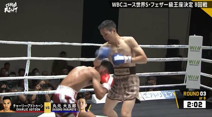 相手が“フラフラ”すぎてパンチが当たらない… TKO直前のラッシュで“硬すぎる拳”が生んだ珍しい光景が話題 3枚目