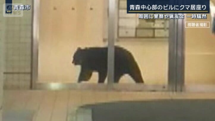 商業ビルに侵入したクマ