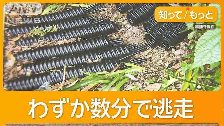 寺の太陽光パネルの銅線盗んだタイ人4人逮捕 各地で犯行、被害総額1億円超