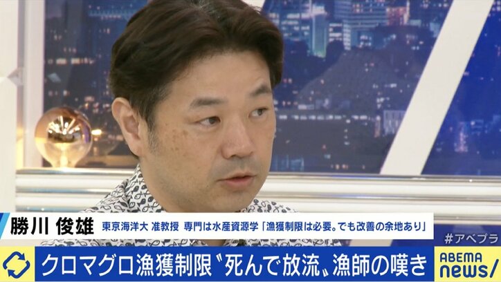 せっかく獲れたクロマグロを海に戻さなければならない現実…専門家「漁獲量の安定のため、今はまだ我慢しなければならない」
