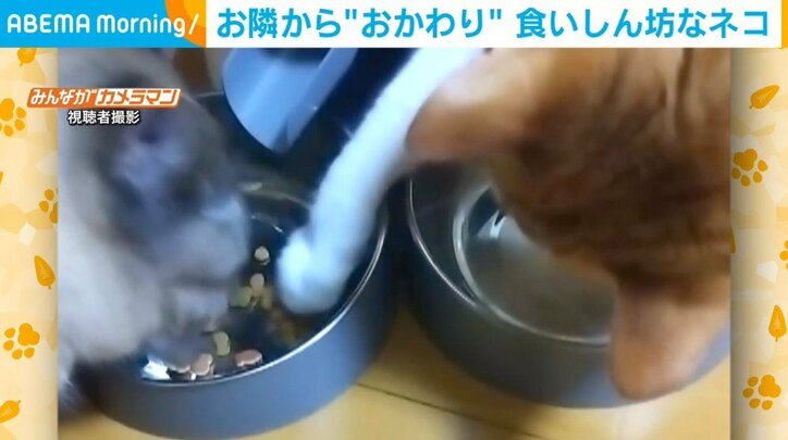 【写真・画像】 2枚目