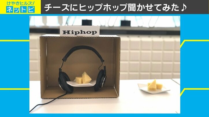 チーズにある音楽を聞かせると“著しく”美味しくなる？ スイスで驚きの研究結果