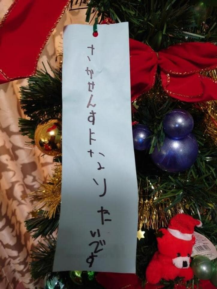  山田花子、クリスマスツリーに飾られていたものに驚き「いつ書いた物か、不明ですが」  