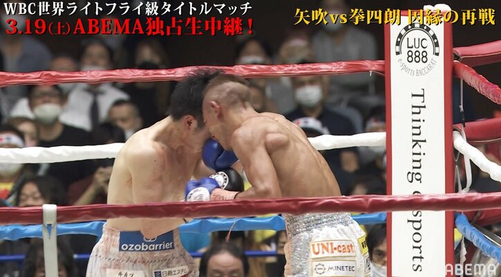 因縁のリマッチ、ボクシングの歴史では“矢吹有利”か？ 完全決着を前に寺地「悪質なバッティング」矢吹「一部の人が騒いでるだけ」