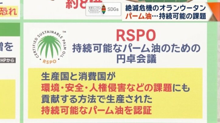 RSPOとは