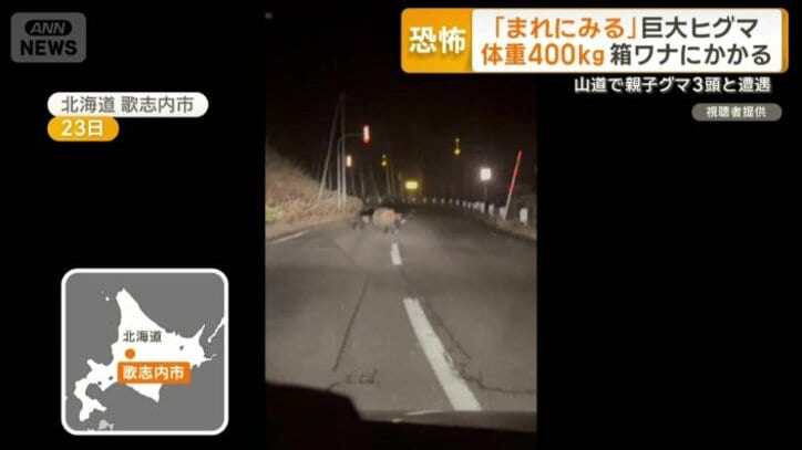 23日にも大きなクマの目撃例