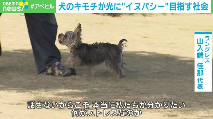 あなたは犬の気持ちが本当にわかっている？ 愛犬の感情を知る「イヌパシー」とは