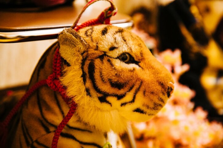 トラになって45年！キミは新宿の名物新聞配達人“新宿タイガー”を知っているか！？Love＆Peaceな直撃インタビュー