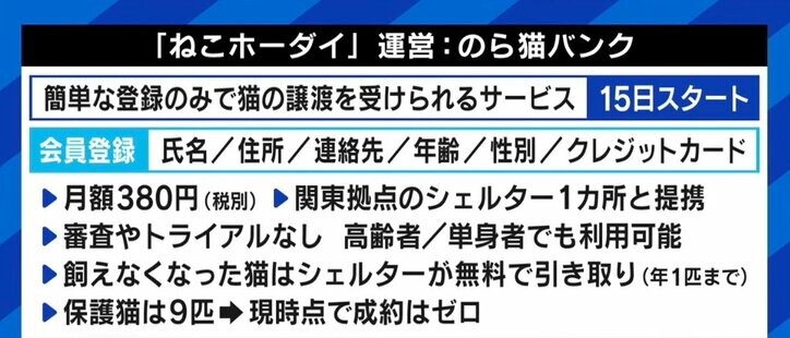 “月額380円で審査なし” 賛否の声があがる「ねこホーダイ」にNPO代表「所有権が不明確。死んでしまったら誰が責任を取るのか」