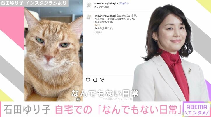 【写真・画像】生活感あふれる自宅が話題・石田ゆり子（56）、リビングでくつろぐ“なんでもない日常”を公開「癒やしですねぇ…」　2枚目