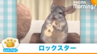 【映像】“ワイルド”にギターを投げ捨てるチンチラ