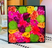 LiLiCo『プチショック❣️』