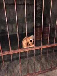 ゴールデンボンバー 樽美酒研二『この写真を大喜利に使っても構いませんから』