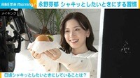 【映像】永野芽郁が“シャキッ”としたいときにする習慣