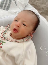 アレクサンダー『美人ちゃんの名前‼️』