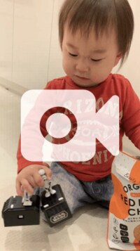 東尾理子『ノンフライ、赤レンズ豆チップスス』