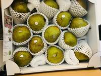 ダイアモンド☆ユカイ『俺の妻からの贈り物』